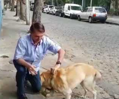 Bolsonaro anuncia criação da Secretaria dos Animais