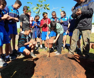 Estudantes de projetos sociais apoiados pela Suzano realizam o plantio de árvores em Três Lagoas (MS)