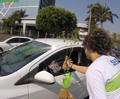 Na Semana da Árvore, Fiems vai distribuir 5,2 mil mudas de ipês na Capital e mais 6 cidades