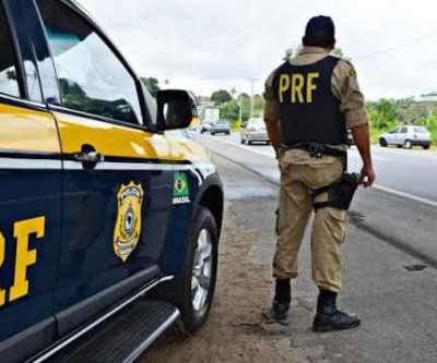 Vaca é abatida a tiros de submetralhadora após ‘surtar’ e danificar veículos em rodovia