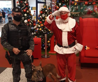 Polícia Militar atua com cães farejadores na Operação Boas Festas em Três Lagoas