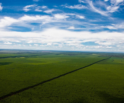 Suzano lança programa de Mudanças Climáticas na Cadeia de Valor focado nos fornecedores