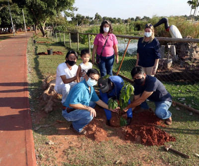 Meio Ambiente realiza plantio de cerejeiras na Lagoa Maior em homenagem ao Dia da Imigração Japonesa