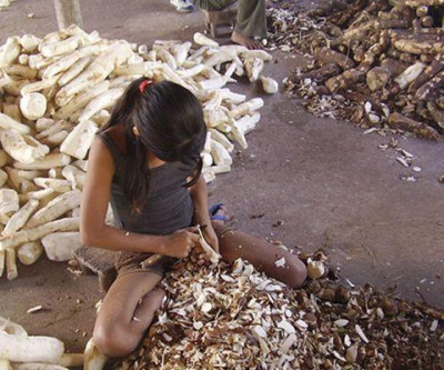 MPT e parceiros intensificam esforços pela eliminação do Trabalho Infantil