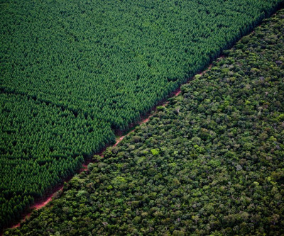 Suzano está contratando Analista de Silvicultura e Analista de Suprimentos em Ribas do Rio Pardo (MS)