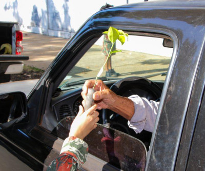 SEMEA segue com ações alusivas à Semana do Meio Ambiente com palestras, dinâmicas e entrega de mudas