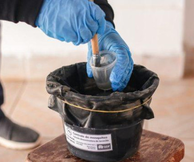 SES promove capacitação para expandir armadilhas de vigilância contra o Aedes aegypti e albopictus