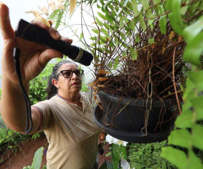 MS registra 7.928 casos confirmados de dengue em novo boletim