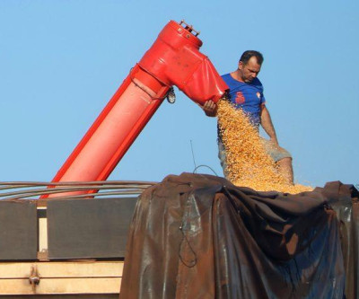 Mato Grosso do Sul bate recorde na produção de milho, superando 14 milhões de toneladas