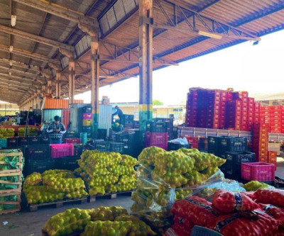 MS amplia participação na Ceasa, com aumento de 18,78 % no volume comercializado