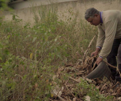 MS registra 7.950 casos confirmados de dengue em novo boletim