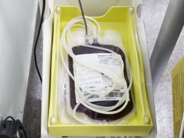Confira os critérios para doar sangue no Hemosul de Três Lagoas