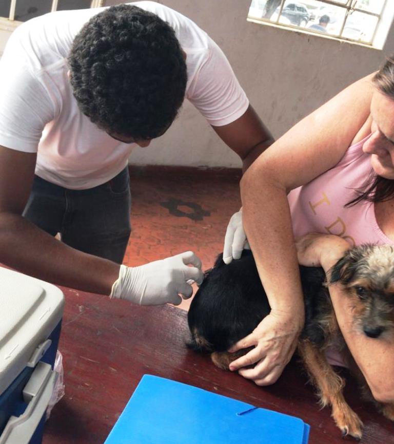Equipe do CCZ vacinou 34 cães e cinco gatos contra a raiva no sábado Equipe do CCZ vacinou 34 cães e cinco gatos contra a raiva no sábado