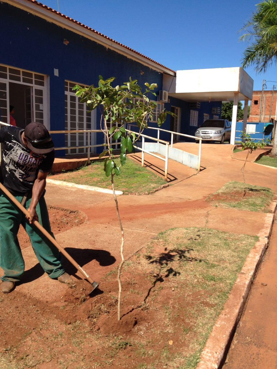 Distrito de Arapuá recebe plantio de árvores pelo Projeto “Áreas Mais Verdes” Distrito de Arapuá recebe plantio de árvores pelo Projeto “Áreas Mais Verdes”