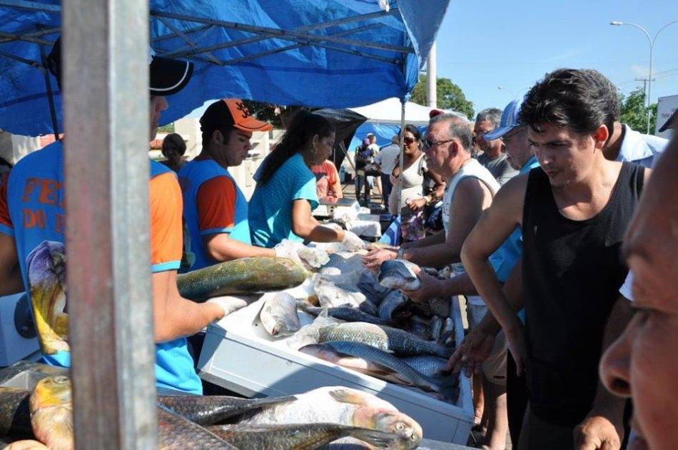 Feira Livre terá funcionamento extra no final do ano Feira Livre terá funcionamento extra no final do ano