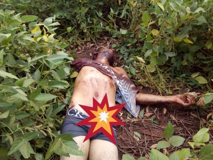FRONTEIRA.Matança continua: homem é encontrado crivado de balas em lavoura de soja