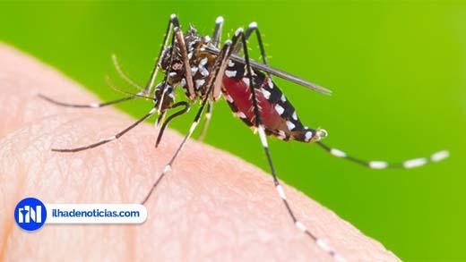 Casos de dengue chegam a 119 em Ilha Solteira; Notificados em 2019 já são 120
