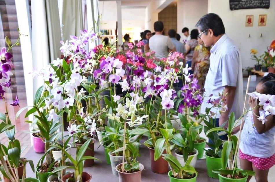 Orquidário Santa Ana está de volta com diversas novidades para população três-lagoense Orquidário Santa Ana está de volta com diversas novidades para população três-lagoense