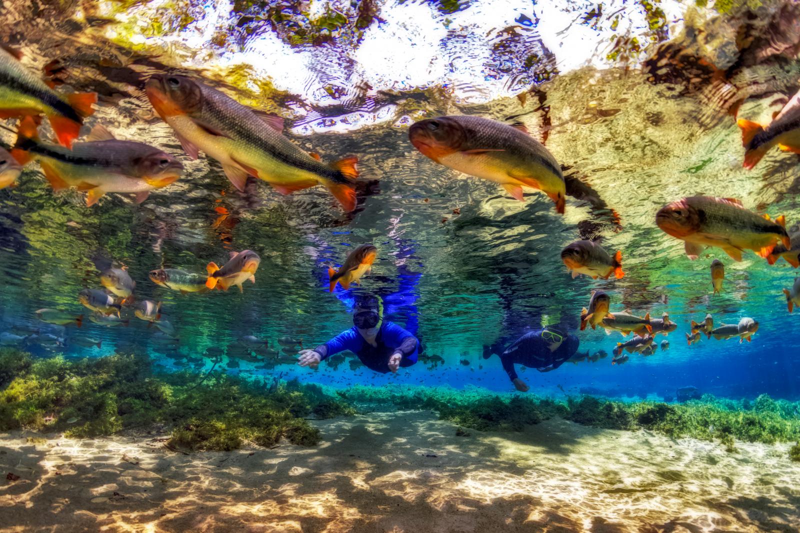 Passeios de ecoturismo em MS são finalistas em Prêmio Internacional