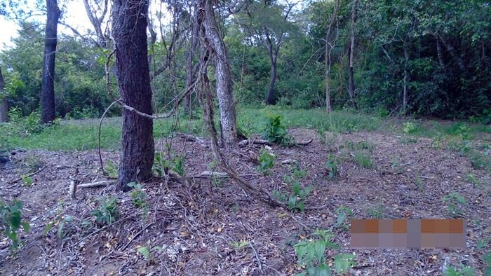 PM multa dois em R$ 10 mil por desmatamento ilegal do rio Sucuriú para construção de ranchos 