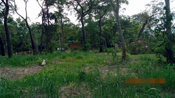 PM multa dois em R$ 10 mil por desmatamento ilegal do rio Sucuriú para construção de ranchos 