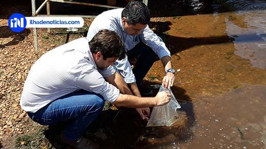 Mais de 100 mil peixes são soltos no reservatório da usina de Ilha 