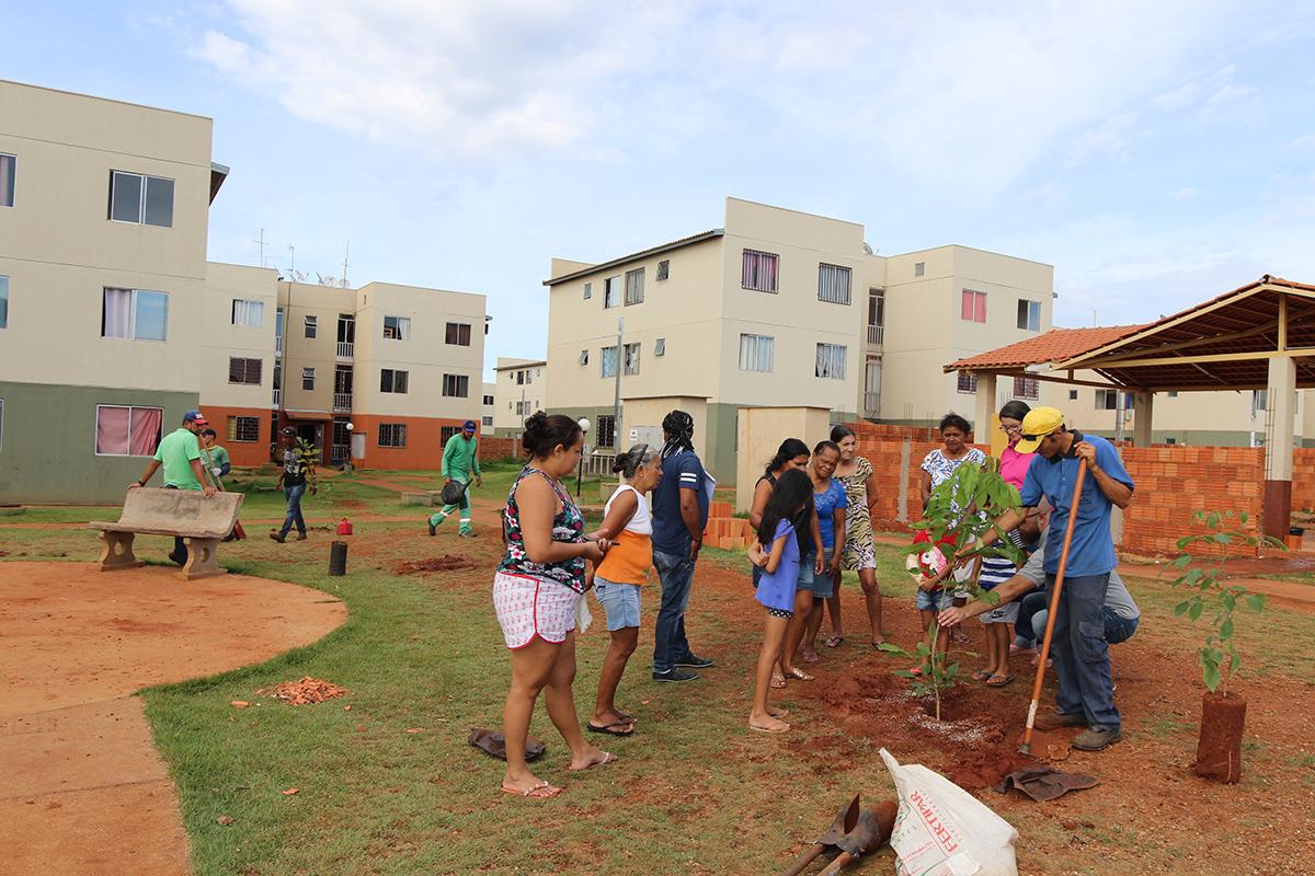 Meio Ambiente realiza plantio de mais de 200 árvores nos condomínios do Residencial Orestinho