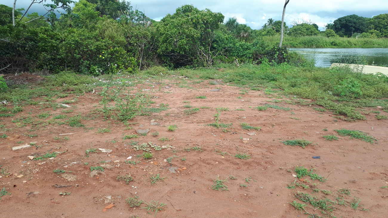 PMA autua paulistano em R$ 5 mil por desmatamento e cascalhamento de área de matas ciliares do rio Sucuriú