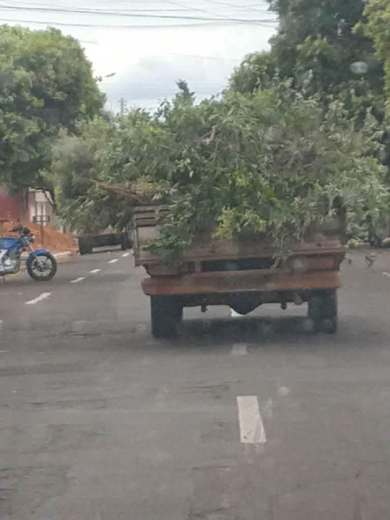 Meio Ambiente inicia Operação “Porco Solto” flagrando e multando moradores que jogam lixo em locais públicos