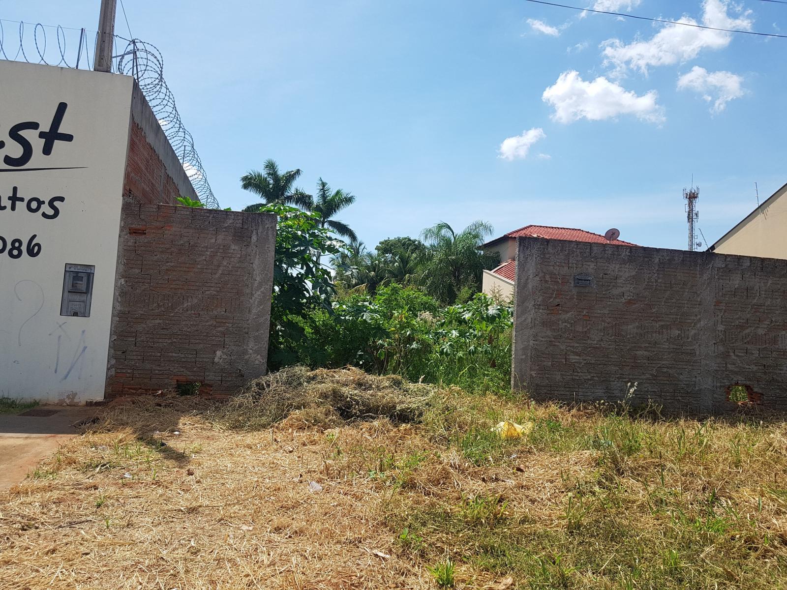 Prefeitura realiza limpeza e aplica multa para donos de 340 terrenos
