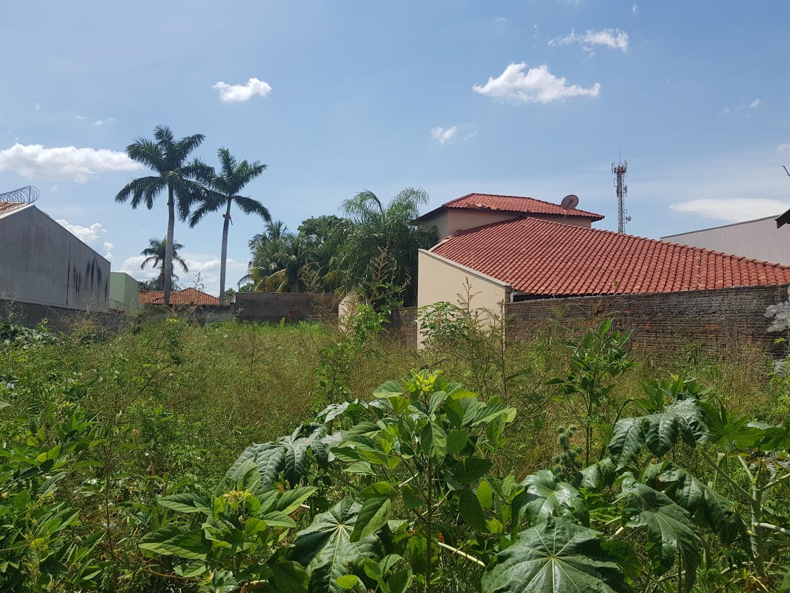 Prefeitura realiza limpeza e aplica multa para donos de 340 terrenos