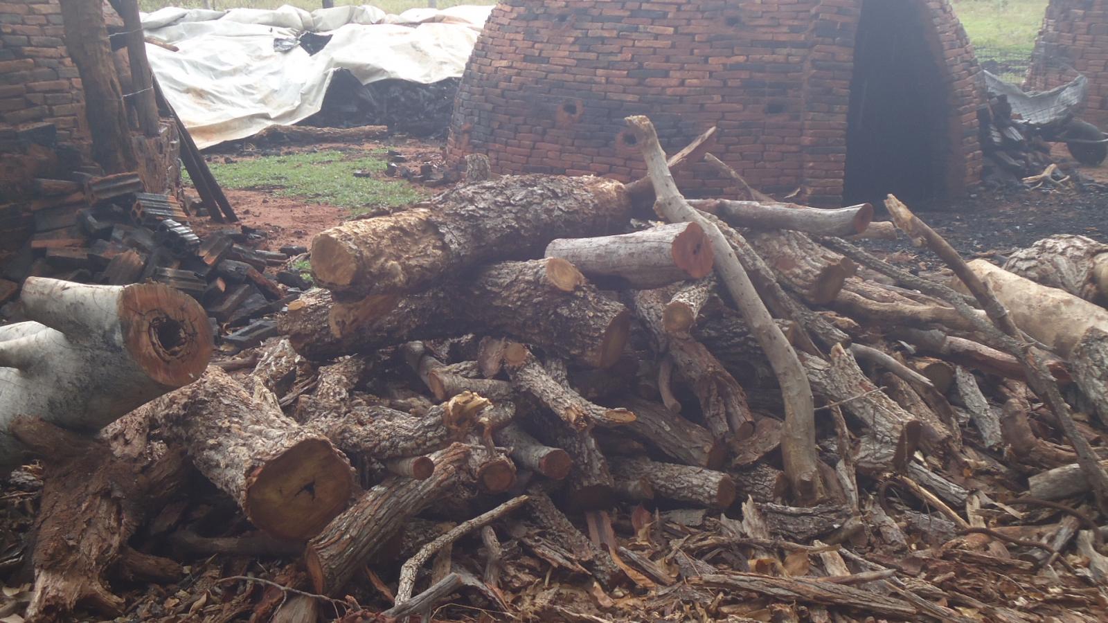 PMA fecha carvoaria, apreende carvão e madeira e autua carvoeiro em R$ 2 mil PMA fecha carvoaria, apreende carvão e madeira e autua carvoeiro em R$ 2 mil