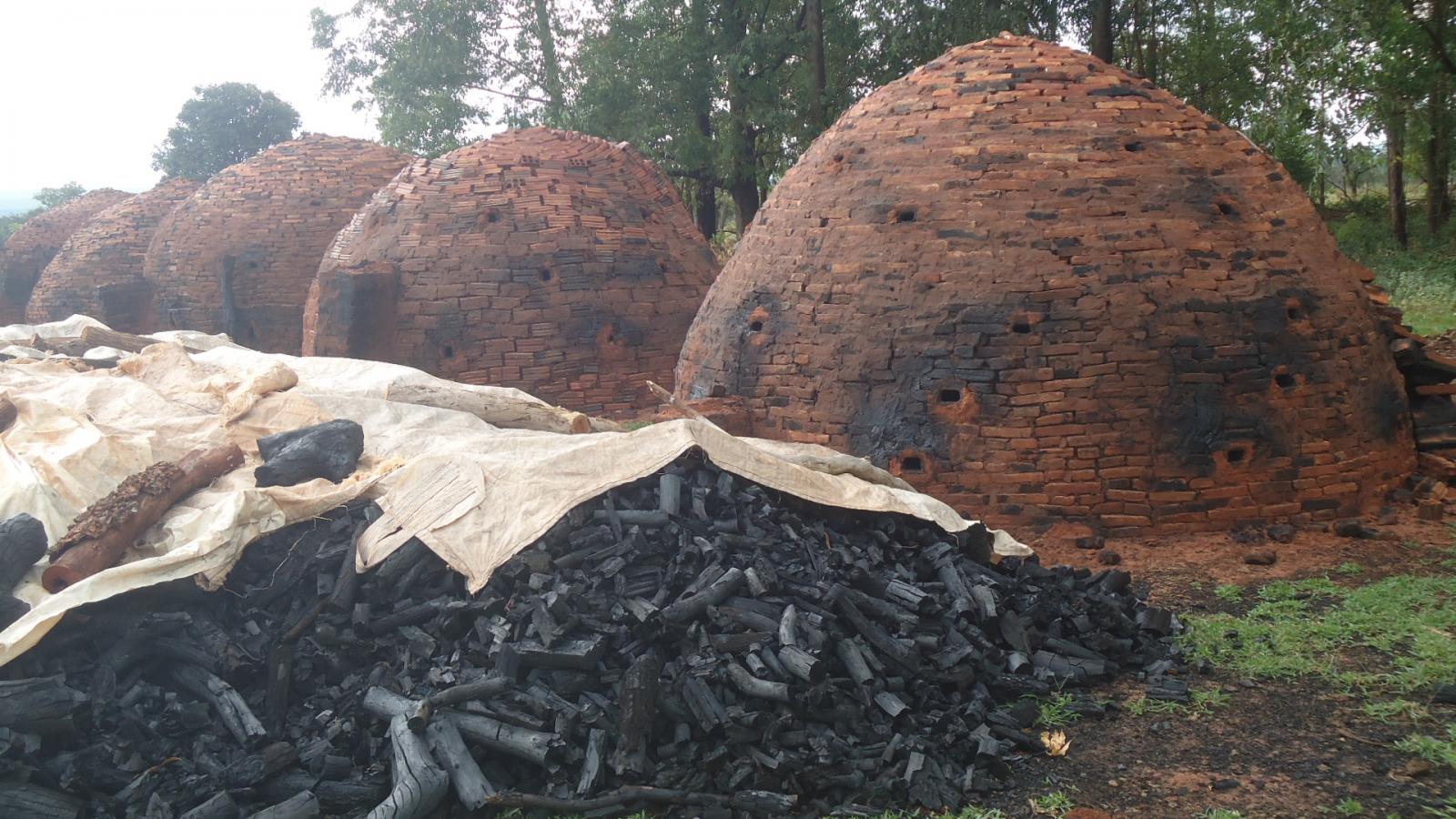 PMA fecha carvoaria, apreende carvão e madeira e autua carvoeiro em R$ 2 mil PMA fecha carvoaria, apreende carvão e madeira e autua carvoeiro em R$ 2 mil