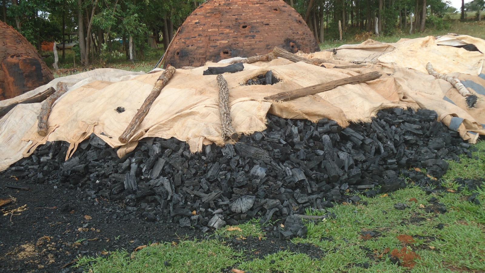 PMA fecha carvoaria, apreende carvão e madeira e autua carvoeiro em R$ 2 mil PMA fecha carvoaria, apreende carvão e madeira e autua carvoeiro em R$ 2 mil