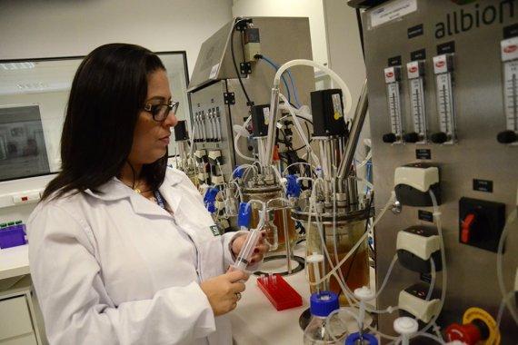Com apoio do ISI Biomassa, indústria aprova projeto de produção de fermento lático para fabricar queijos