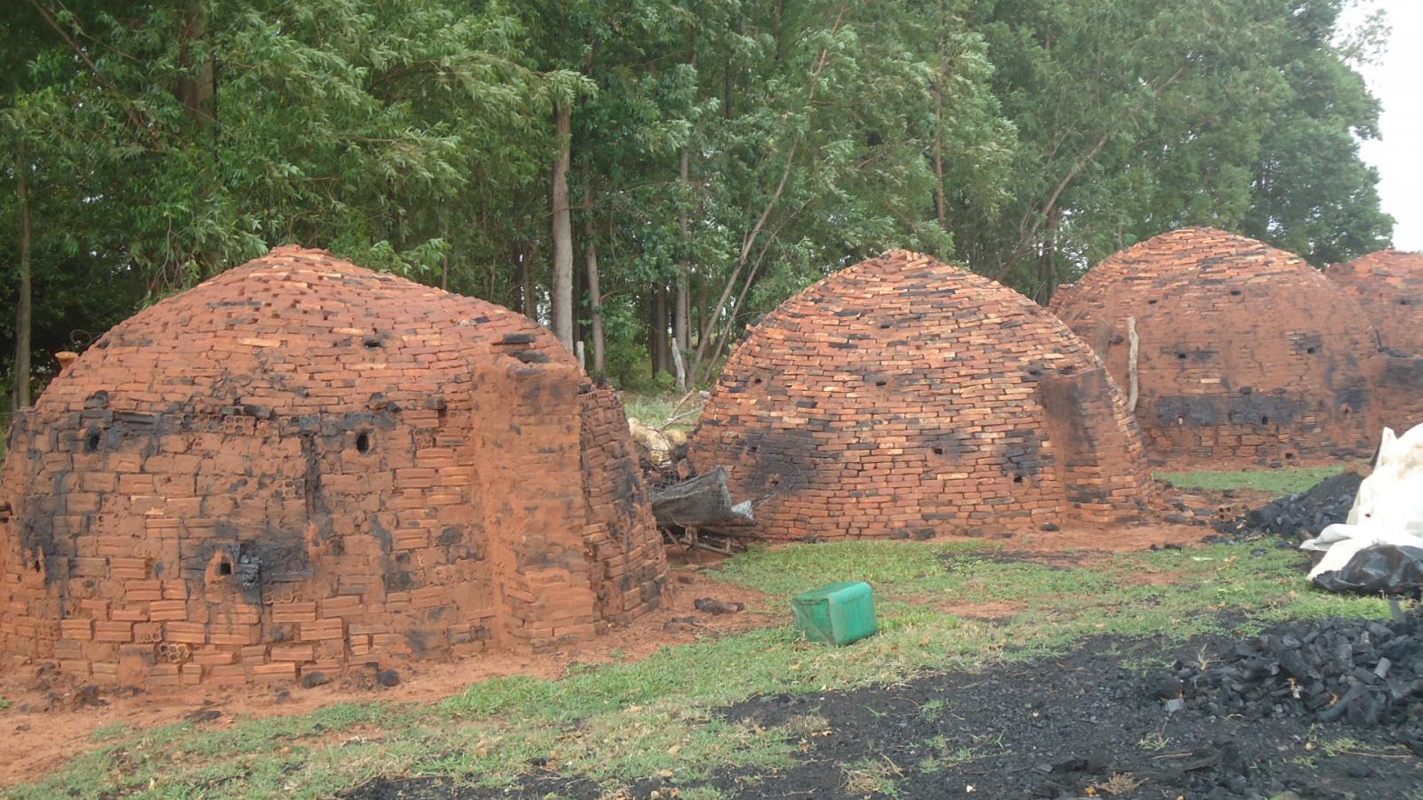 PMA fecha carvoaria, apreende carvão e madeira e autua carvoeiro em R$ 2 mil PMA fecha carvoaria, apreende carvão e madeira e autua carvoeiro em R$ 2 mil
