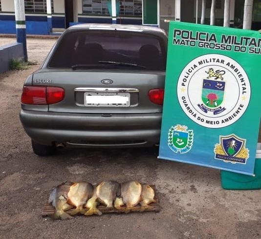 PMA prende pescador profissional que fugiu de bloqueio com pescado capturado em piracema PMA prende pescador profissional que fugiu de bloqueio com pescado capturado em piracema