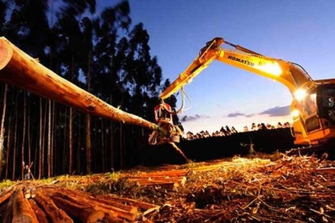 Suzano alcança em 2018 o melhor resultado de sua história
