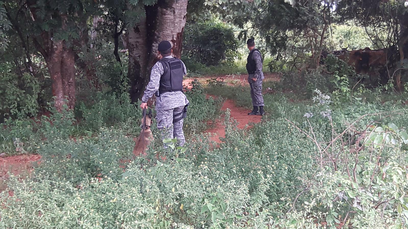 Cadela da PM localiza drogas em operação no Jardim Carandá