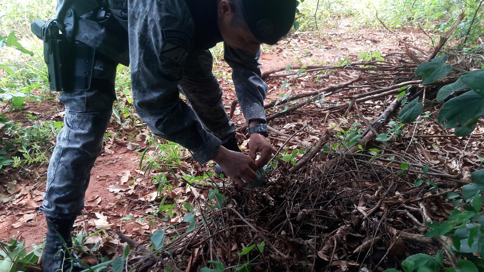 Cadela da PM localiza drogas em operação no Jardim Carandá
