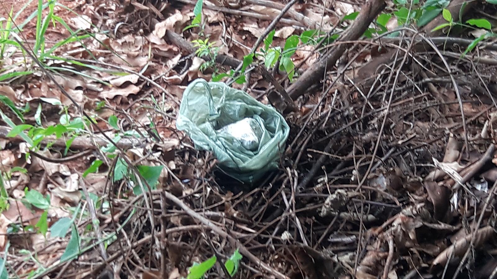 Cadela da PM localiza drogas em operação no Jardim Carandá