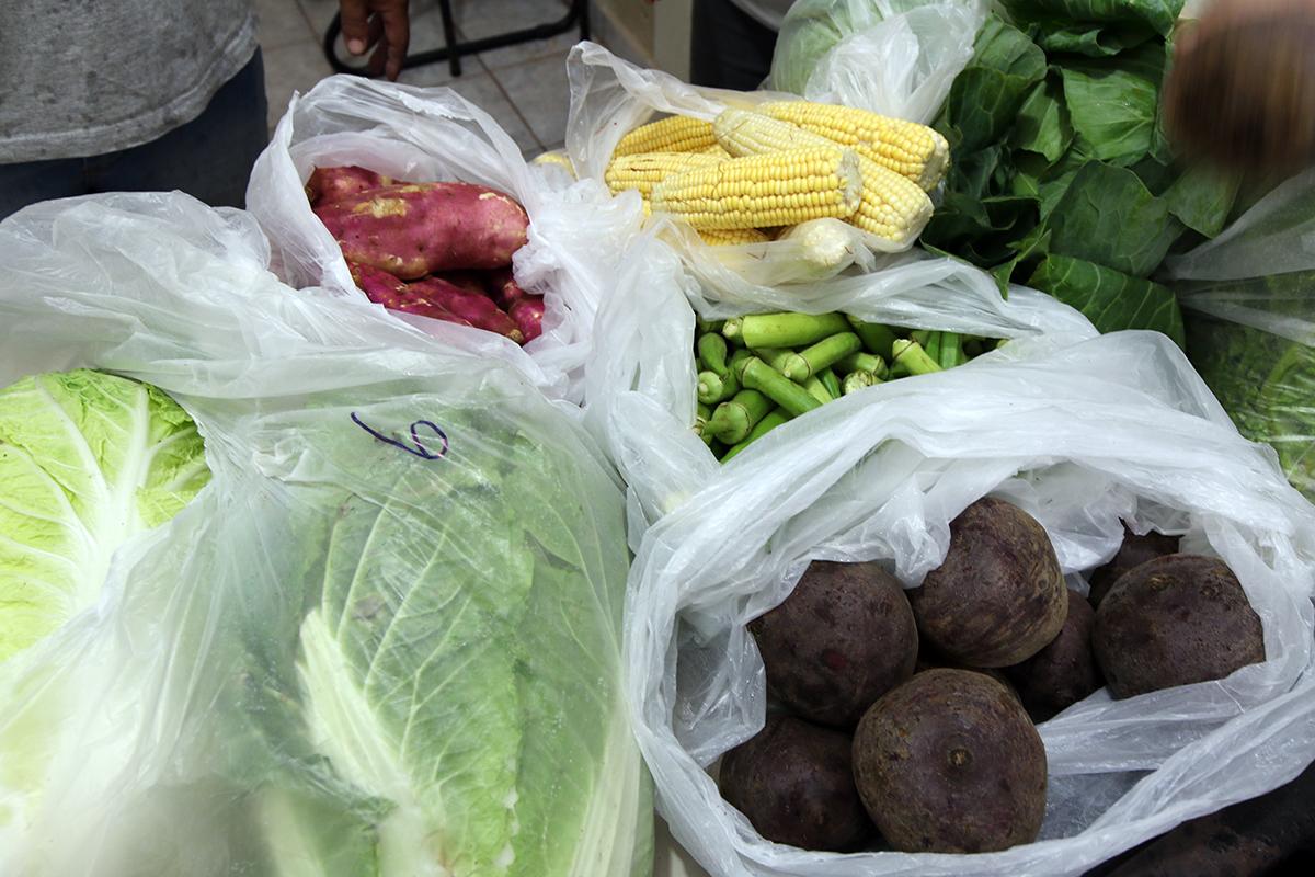 Prefeitura investe mais de R$ 1,7 milhão na merenda escolar adquirindo produtos da região