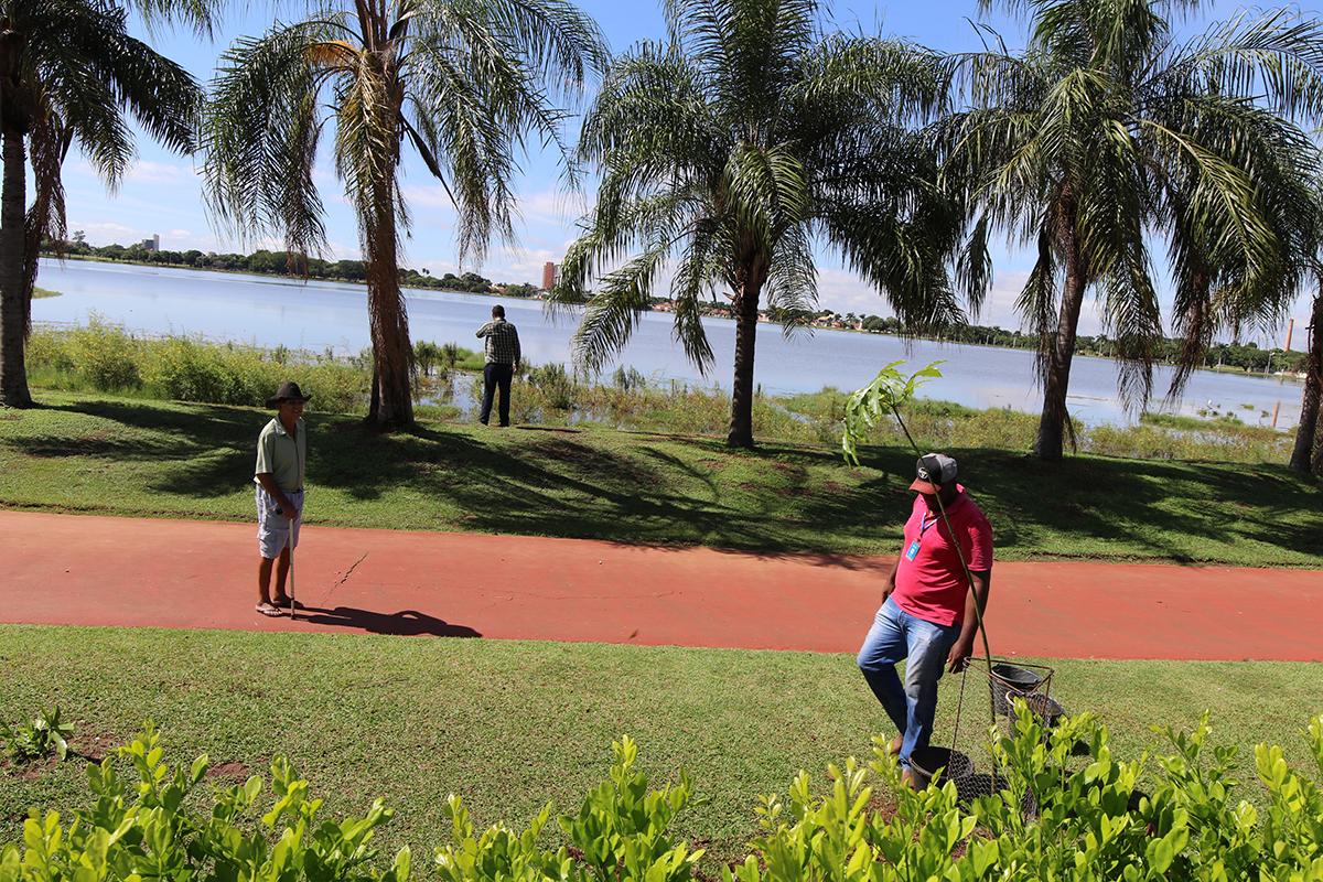 SEMEA realiza plantio de mais árvores em volta da pista de caminhada da Lagoa Maior