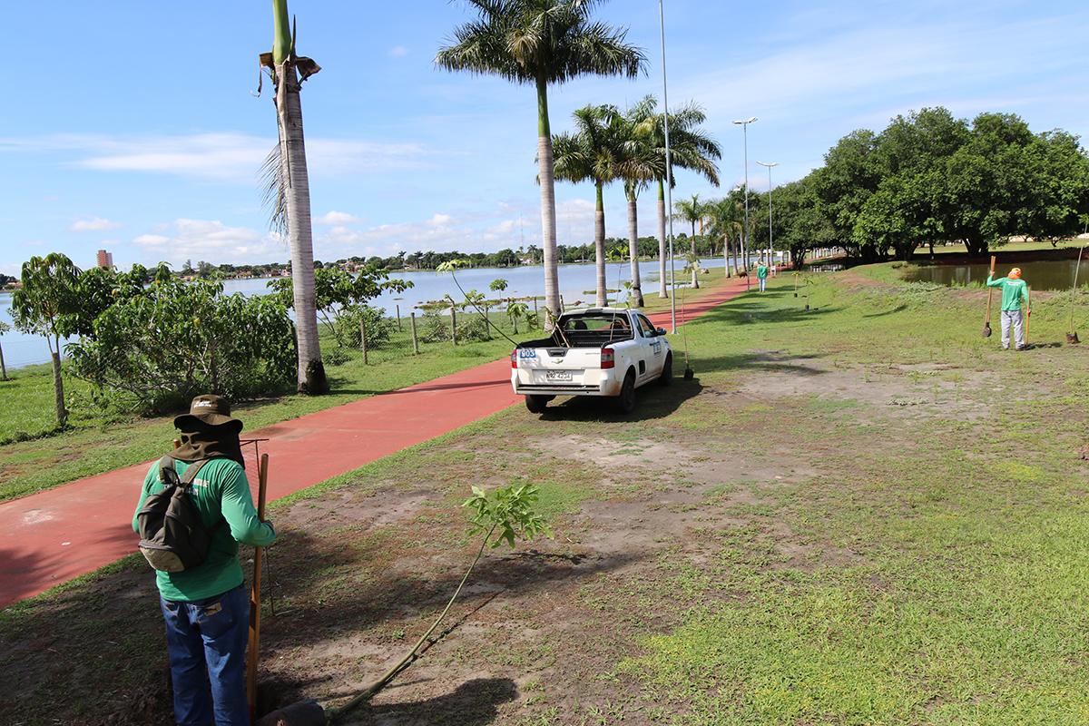 SEMEA realiza plantio de mais árvores em volta da pista de caminhada da Lagoa Maior