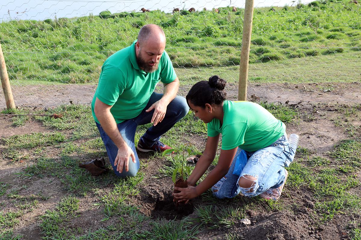 Prefeitura de Três Lagoas e parceiros plantaram mais de 20 mil árvores e plantas