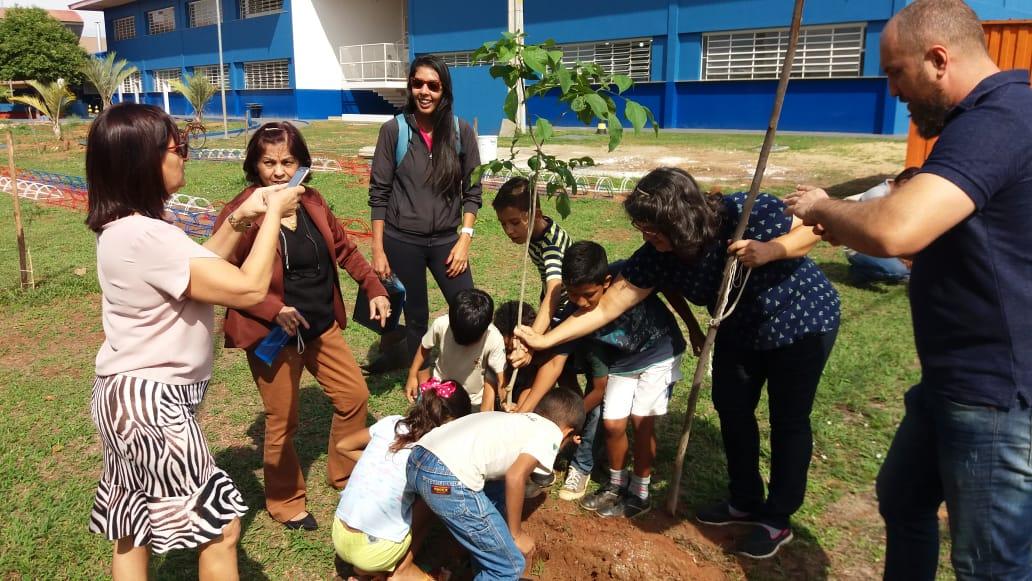 Prefeitura de Três Lagoas e parceiros plantaram mais de 20 mil árvores e plantas
