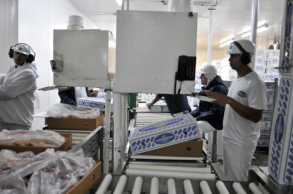 Em 2 meses, indústrias de MS registram saldo positivo de 971 novos postos de trabalho