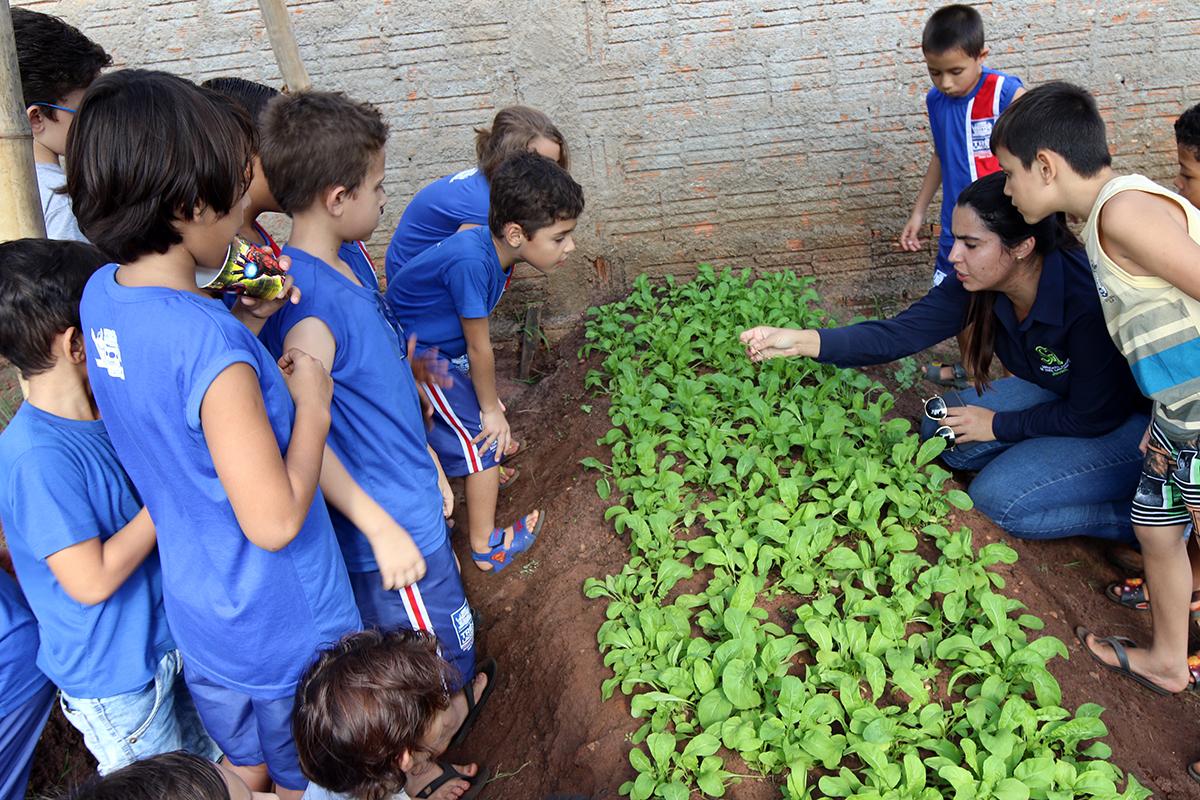 Cerca de 300 alunos da E.M. “Júlio Colino” participam de projeto em prol das famílias da Vila Vicentino