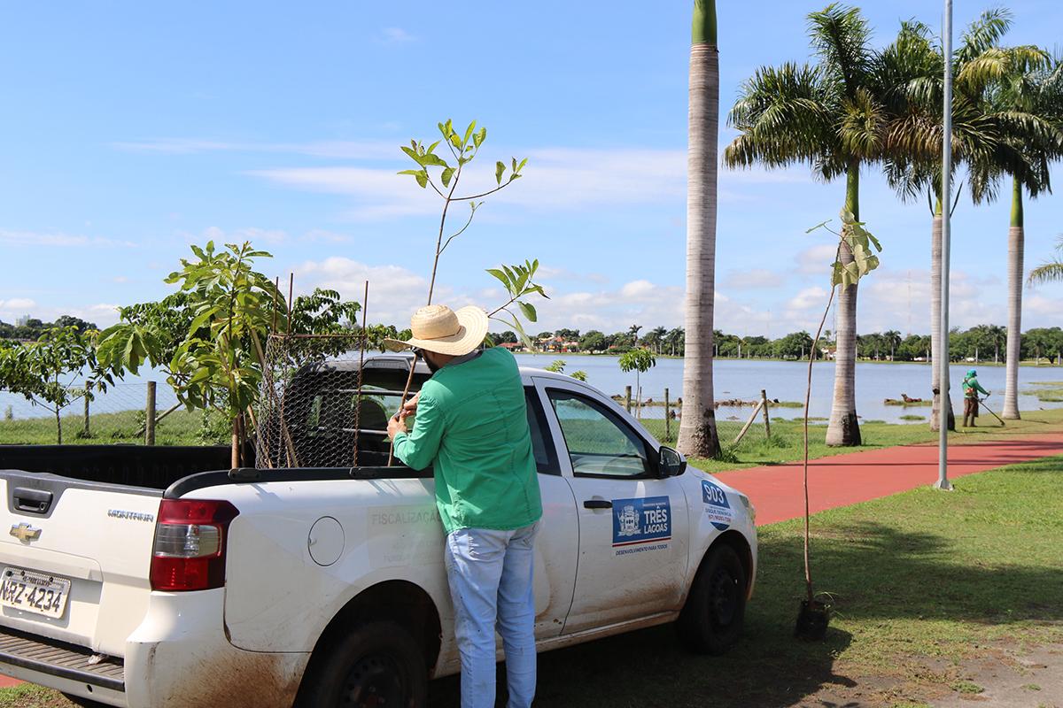 SEMEA realiza plantio de mais árvores em volta da pista de caminhada da Lagoa Maior