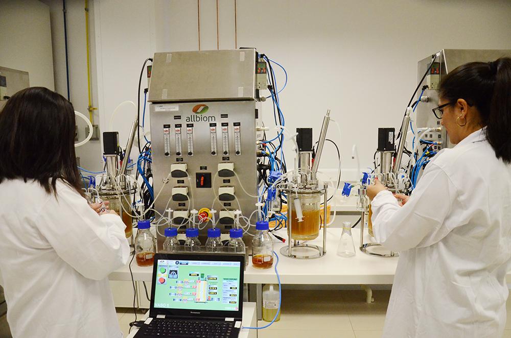 SI Biomassa tem infraestrutura para projetos de geração de energia para indústrias SI Biomassa tem infraestrutura para projetos de geração de energia para indústrias